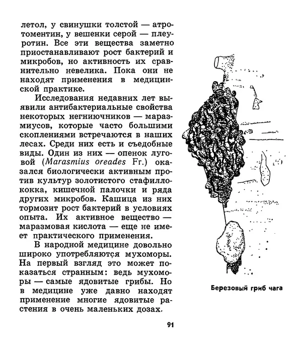 К. Шульга - Грибы наших лесов - Страница № 115