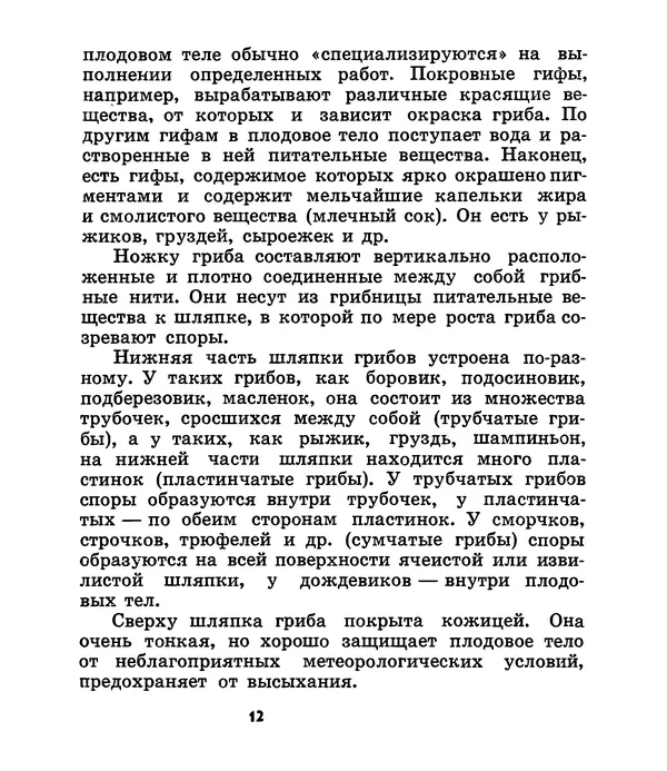 К. Шульга - Грибы наших лесов - Страница № 12