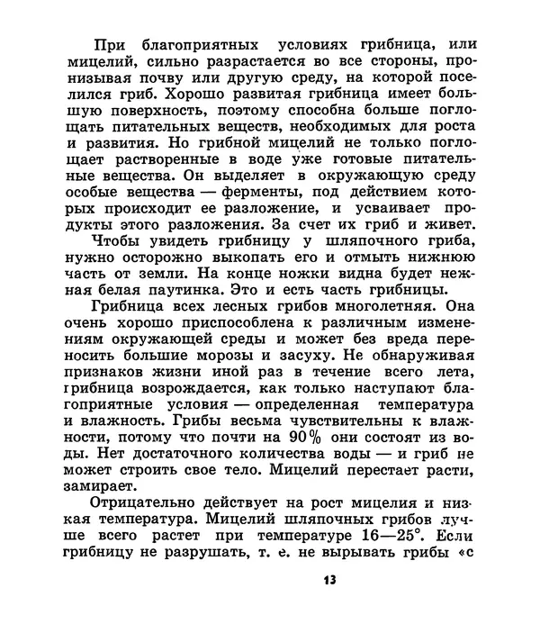 К. Шульга - Грибы наших лесов - Страница № 13