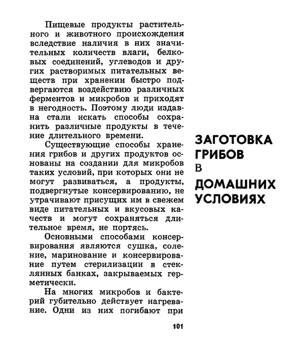 К. Шульга - Грибы наших лесов - Страница № 131