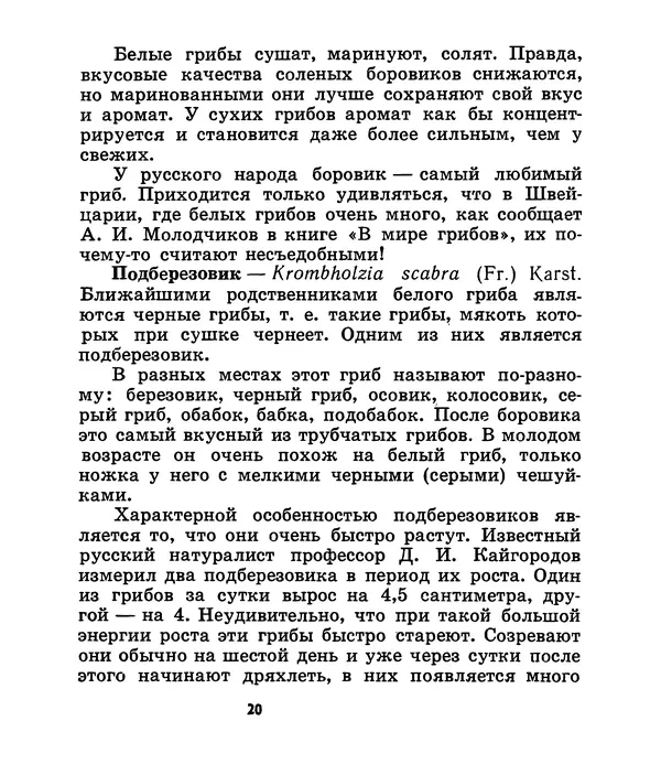 К. Шульга - Грибы наших лесов - Страница № 20