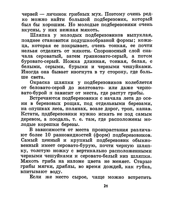 К. Шульга - Грибы наших лесов - Страница № 21