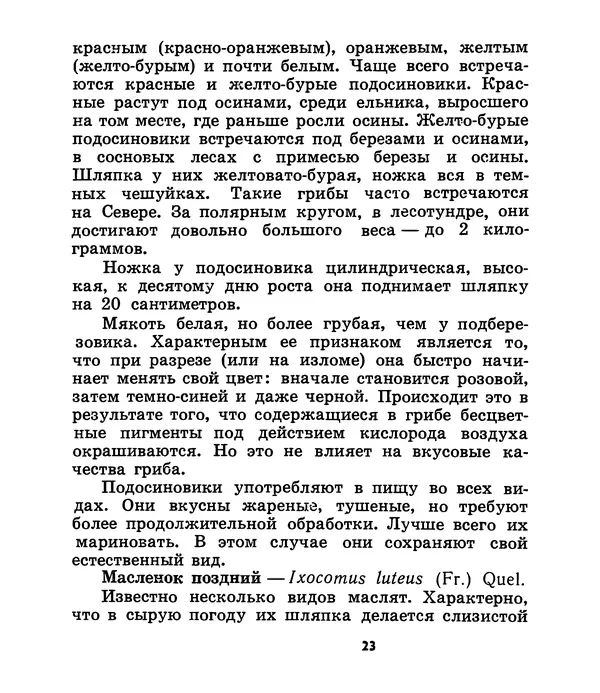 К. Шульга - Грибы наших лесов - Страница № 23