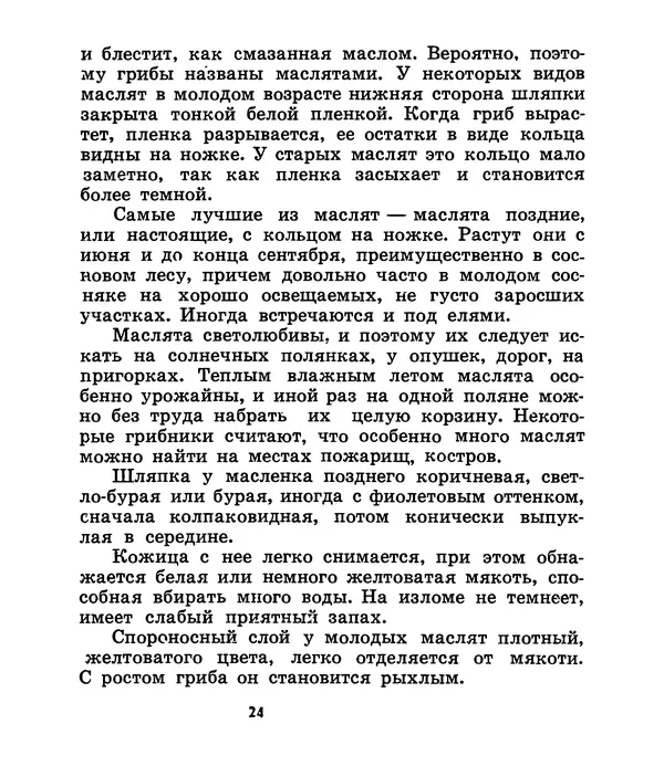 К. Шульга - Грибы наших лесов - Страница № 24