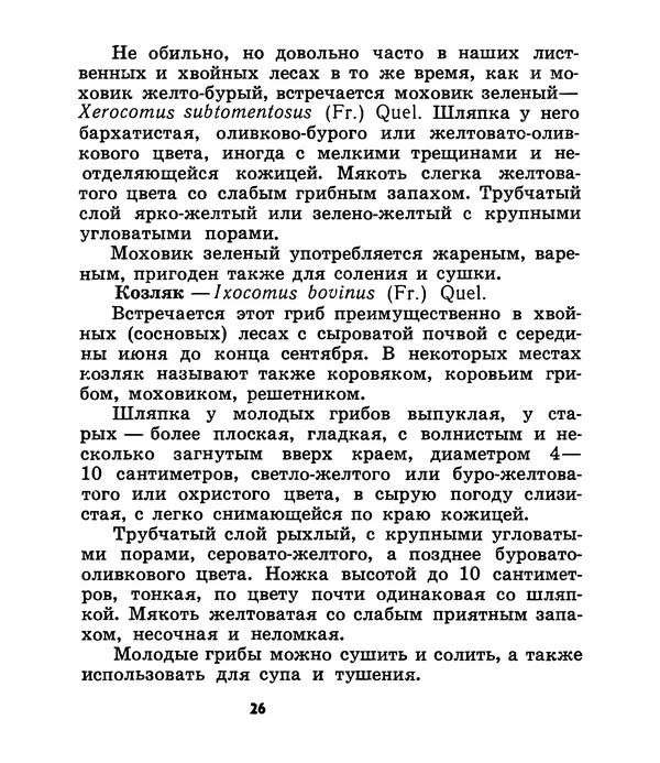 К. Шульга - Грибы наших лесов - Страница № 26