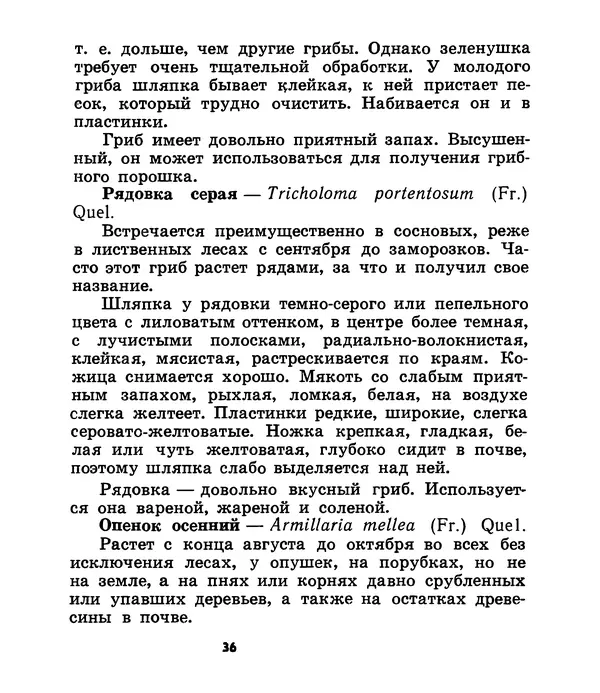 К. Шульга - Грибы наших лесов - Страница № 44