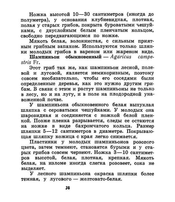 К. Шульга - Грибы наших лесов - Страница № 46