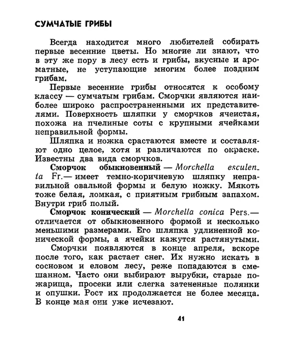 К. Шульга - Грибы наших лесов - Страница № 49