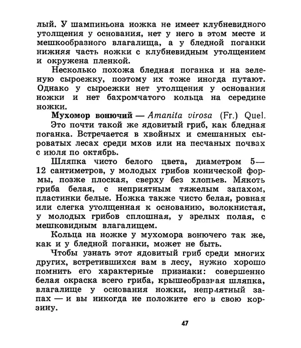 К. Шульга - Грибы наших лесов - Страница № 55