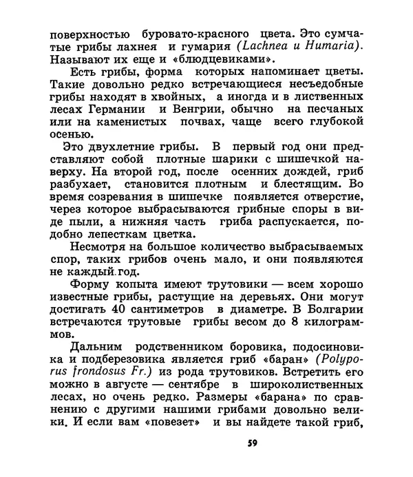 К. Шульга - Грибы наших лесов - Страница № 75