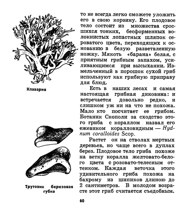 К. Шульга - Грибы наших лесов - Страница № 76