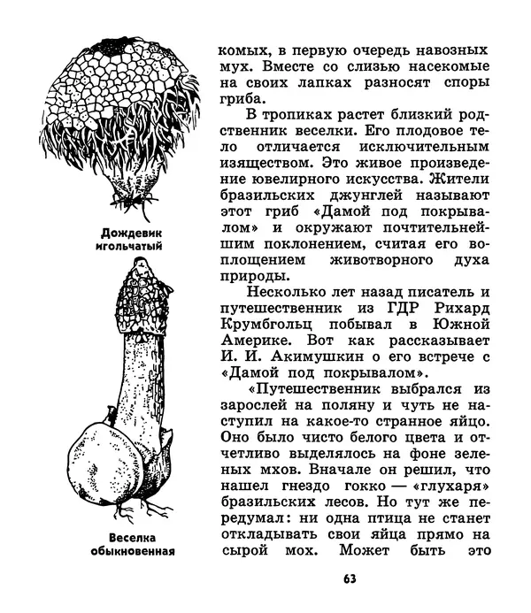 К. Шульга - Грибы наших лесов - Страница № 79