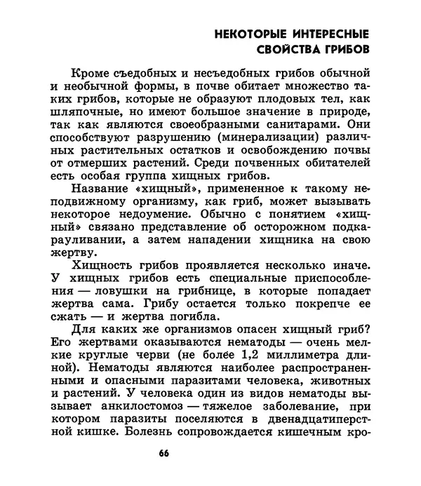 К. Шульга - Грибы наших лесов - Страница № 82