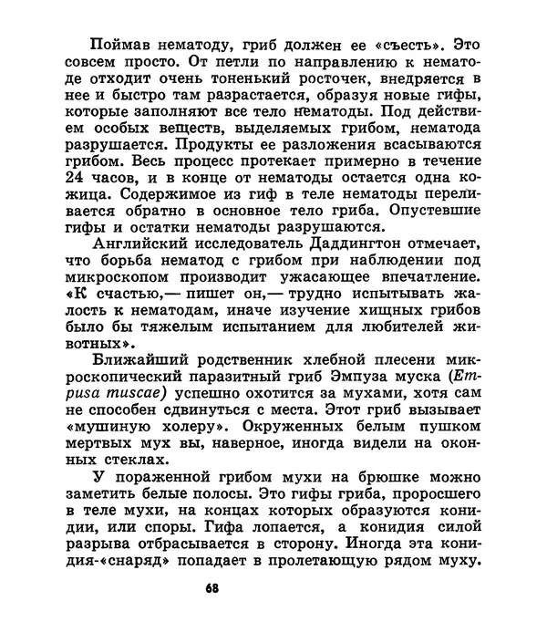 К. Шульга - Грибы наших лесов - Страница № 84