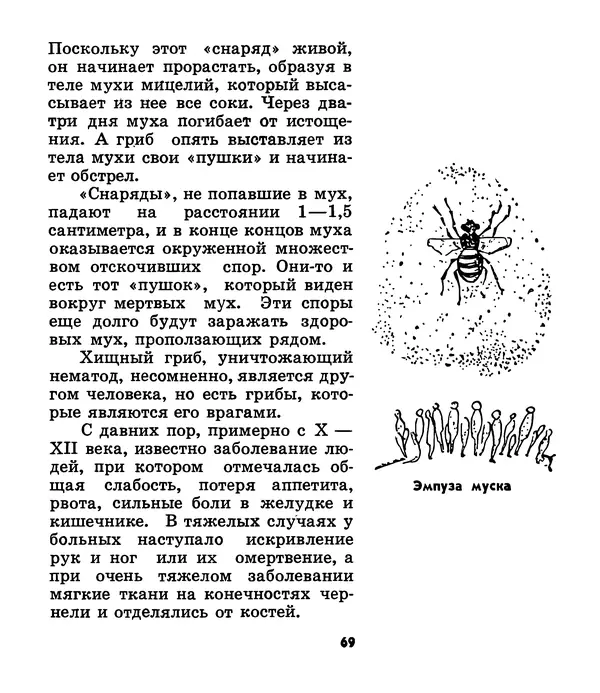 К. Шульга - Грибы наших лесов - Страница № 85