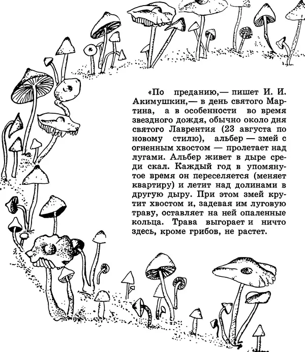 К. Шульга - Грибы наших лесов - Страница № 92