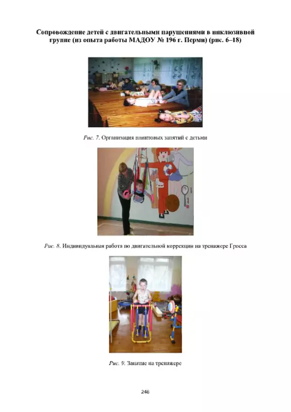 А. Наумов - Сопровождение ребенка дошкольного возраста с ограниченными возможностями здоровья в условиях интегрированного и инклюзивного образования. Учебник - Страница № 246