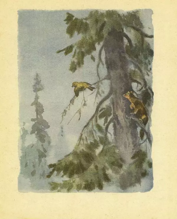 Георгий Скребицкий - Весне навстречу - Страница № 16