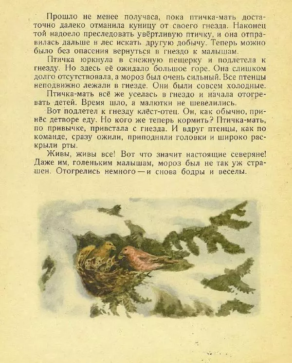 Георгий Скребицкий - Весне навстречу - Страница № 17