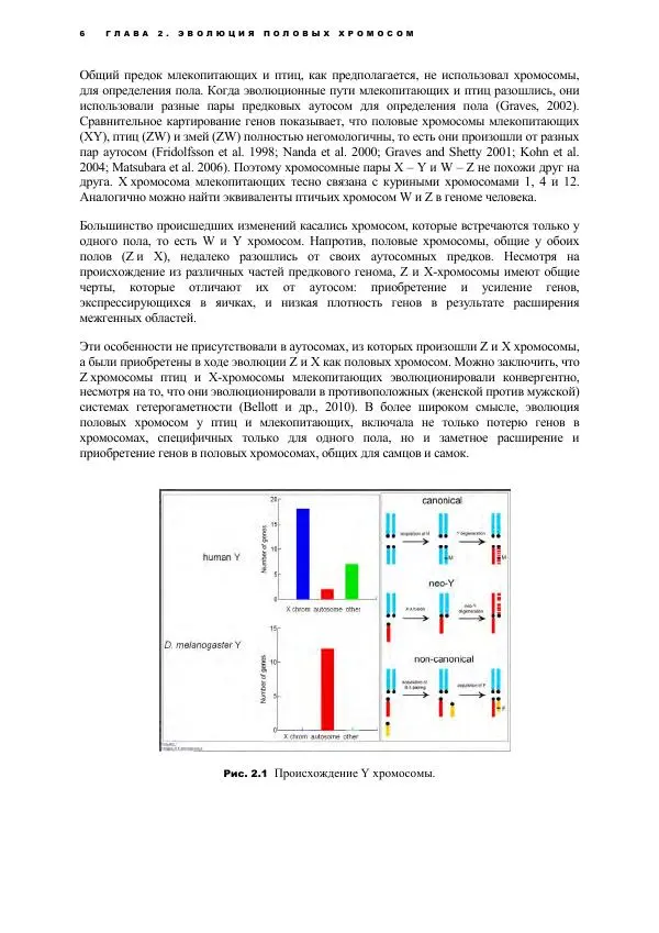 Виген Геодакян - Куда и зачем прыгают гены? Номадическая теория генов - Страница № 18