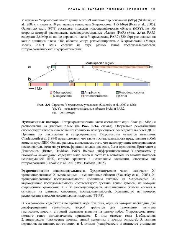 Виген Геодакян - Куда и зачем прыгают гены? Номадическая теория генов - Страница № 27