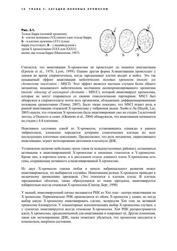 Виген Геодакян - Куда и зачем прыгают гены? Номадическая теория генов - Страница № 30