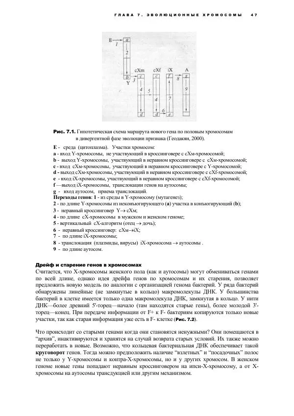 Виген Геодакян - Куда и зачем прыгают гены? Номадическая теория генов - Страница № 59