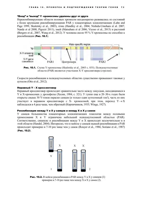 Виген Геодакян - Куда и зачем прыгают гены? Номадическая теория генов - Страница № 85
