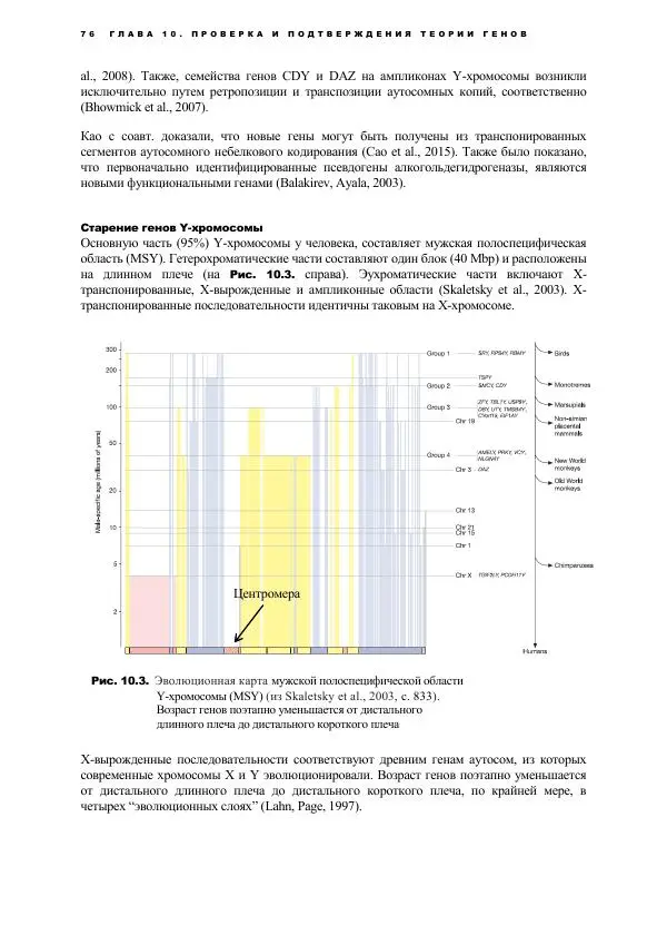 Виген Геодакян - Куда и зачем прыгают гены? Номадическая теория генов - Страница № 88