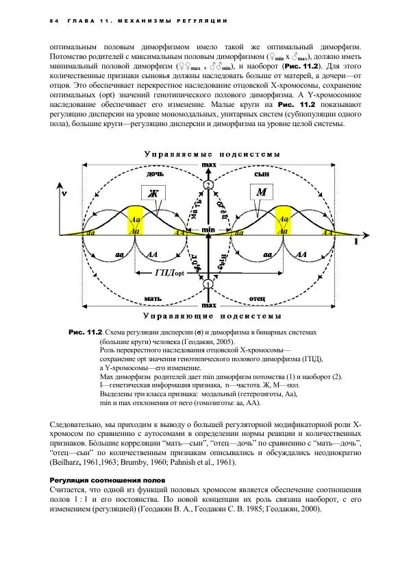 Виген Геодакян - Куда и зачем прыгают гены? Номадическая теория генов - Страница № 96