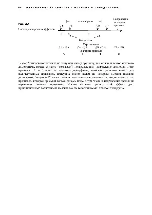Виген Геодакян - Куда и зачем прыгают гены? Номадическая теория генов - Страница № 108