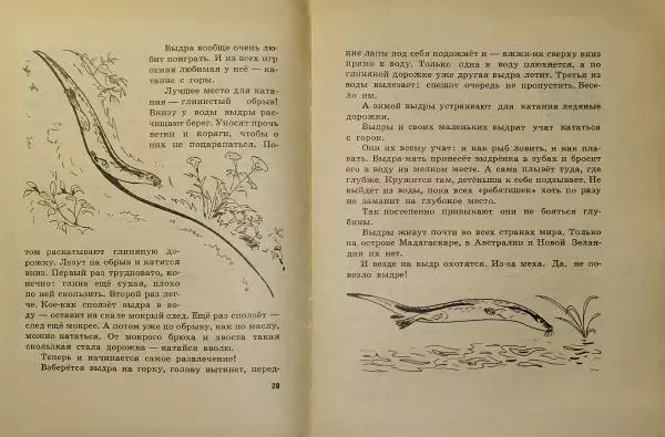 Игорь Акимушкин - Индрик-зверь - Страница № 16