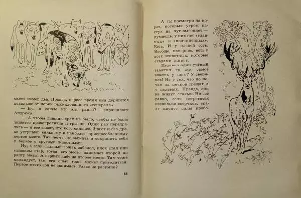 Игорь Акимушкин - Индрик-зверь - Страница № 34