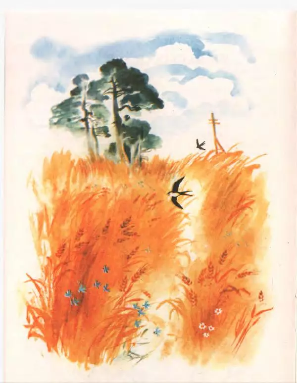 Галина Новицкая - Вежливый дождь - Страница № 10