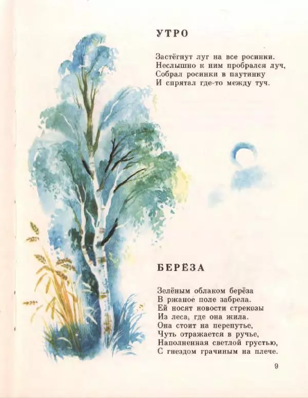 Галина Новицкая - Вежливый дождь - Страница № 13