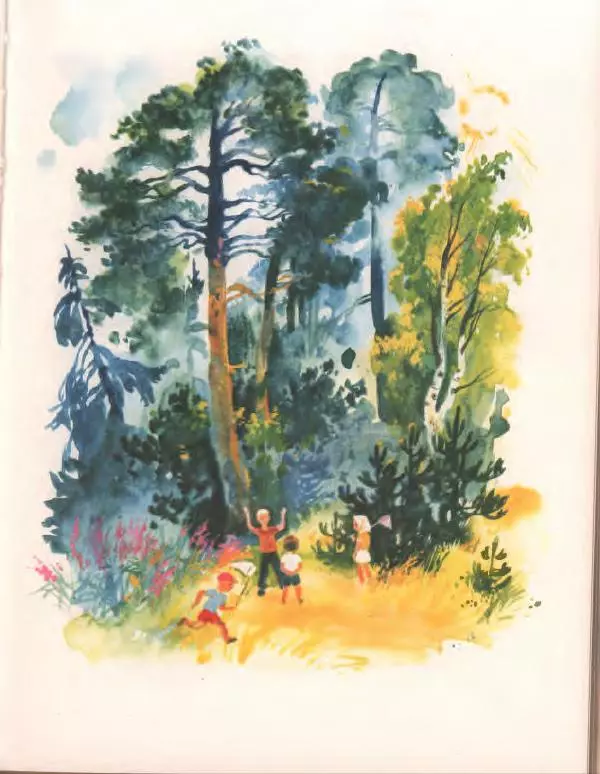 Галина Новицкая - Вежливый дождь - Страница № 19