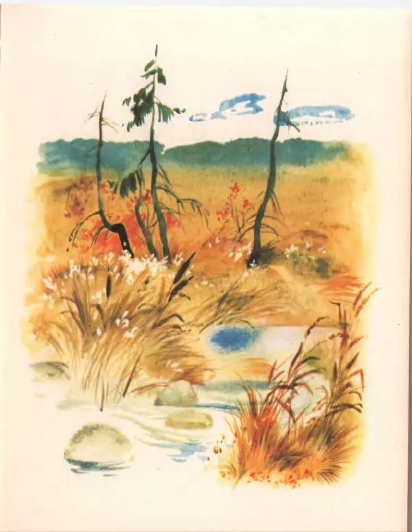 Галина Новицкая - Вежливый дождь - Страница № 23