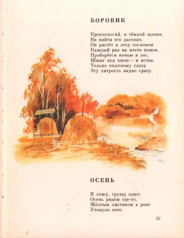 Галина Новицкая - Вежливый дождь - Страница № 29