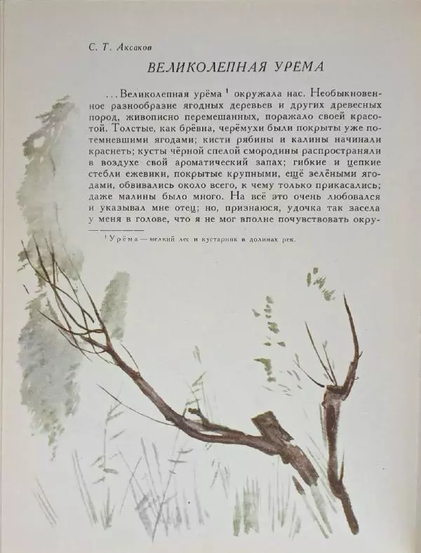 Лев Толстой - Улыбка ясная природы - Страница № 23