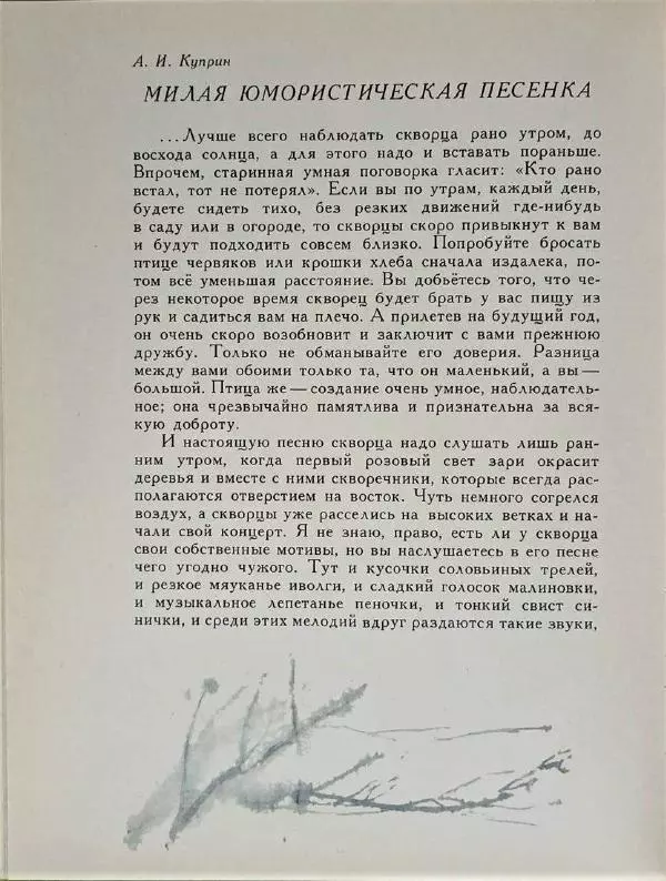 Лев Толстой - Улыбка ясная природы - Страница № 27