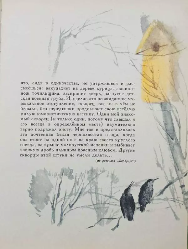Лев Толстой - Улыбка ясная природы - Страница № 28
