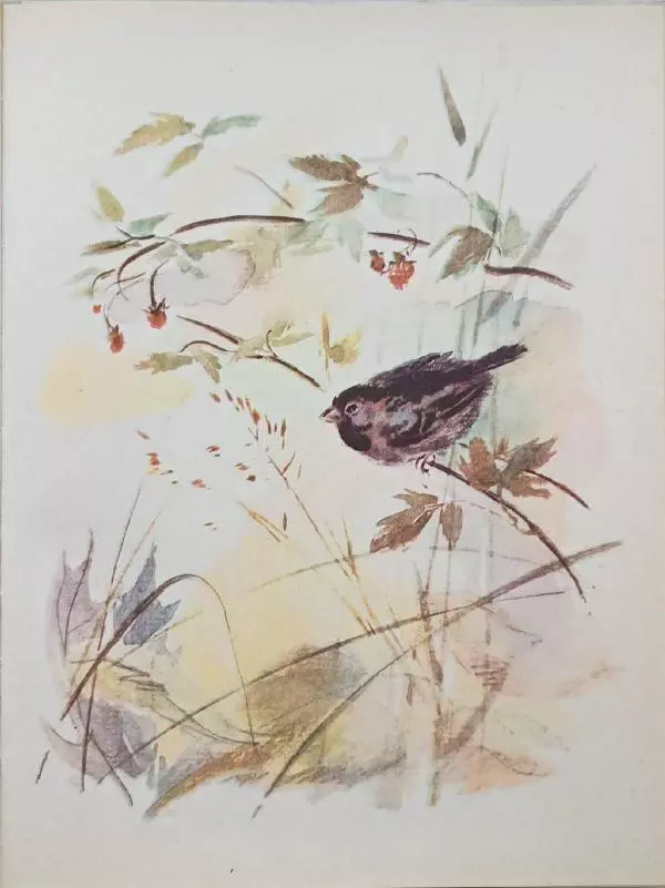 Лев Толстой - Улыбка ясная природы - Страница № 48