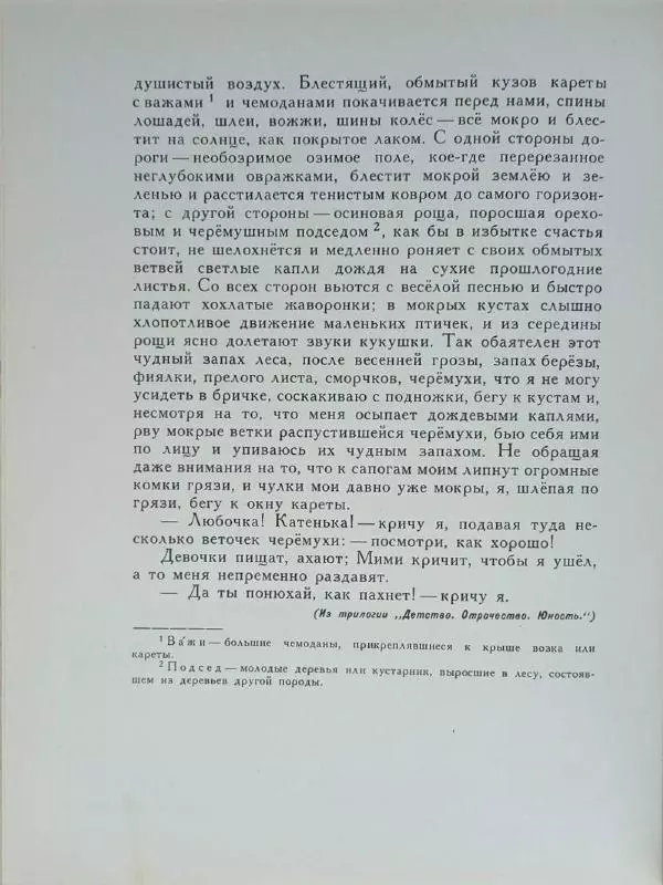 Лев Толстой - Улыбка ясная природы - Страница № 79
