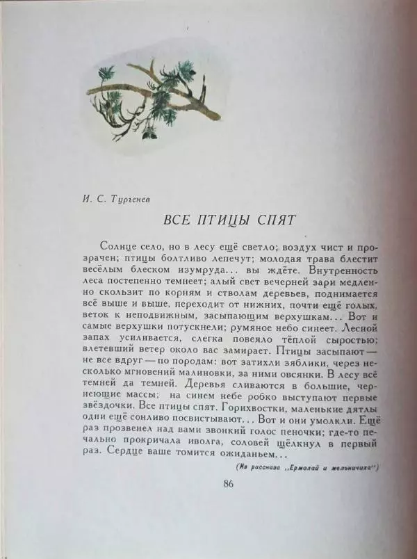 Лев Толстой - Улыбка ясная природы - Страница № 87