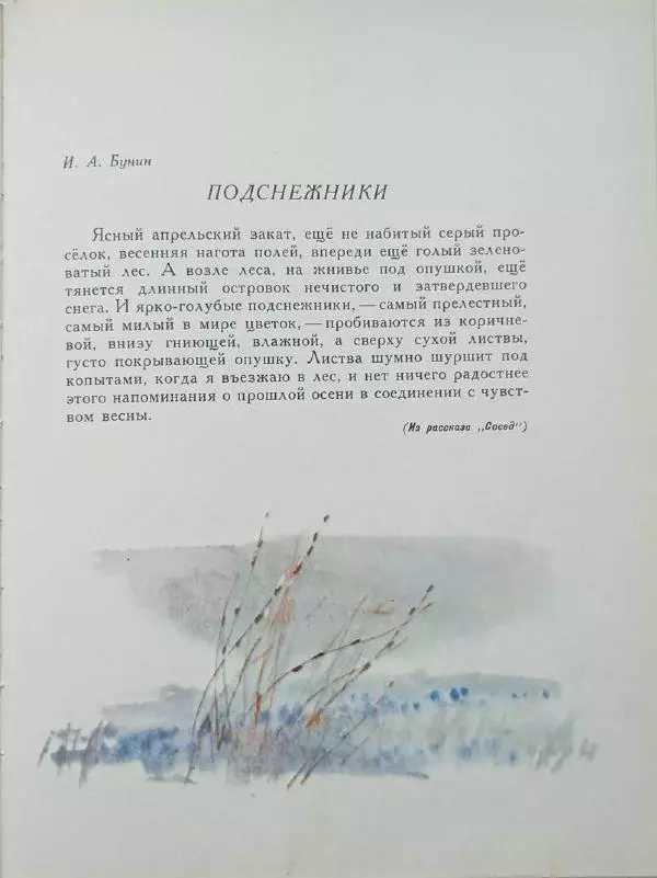 Лев Толстой - Улыбка ясная природы - Страница № 96