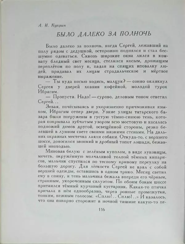 Лев Толстой - Улыбка ясная природы - Страница № 117