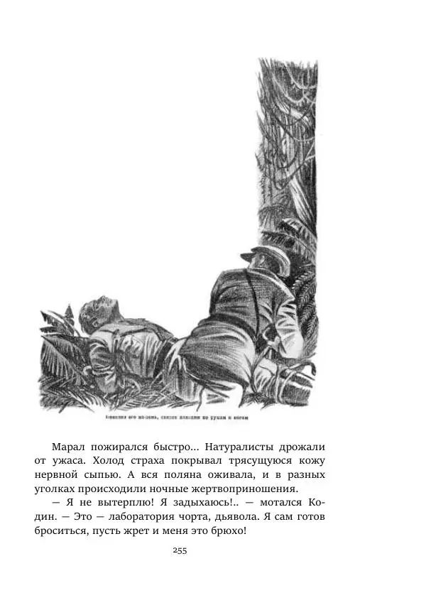 Константин Паустовский - Равнина Туа - Страница № 255