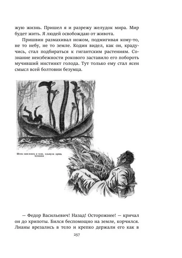 Константин Паустовский - Равнина Туа - Страница № 257