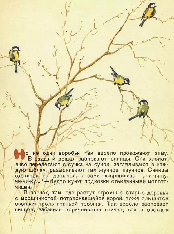 Георгий Скребицкий - Домик на берёзе - Страница № 3