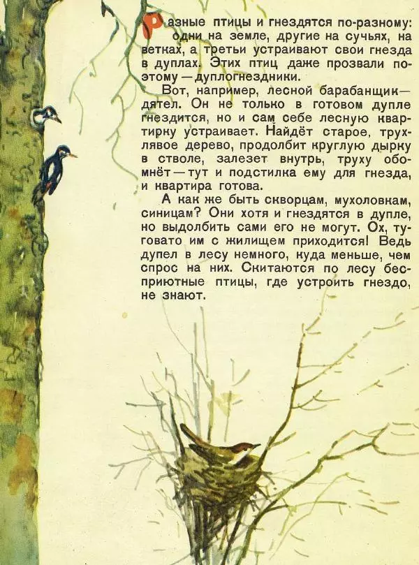 Георгий Скребицкий - Домик на берёзе - Страница № 5